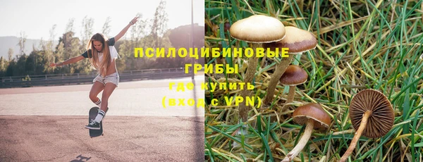 шишки Абинск