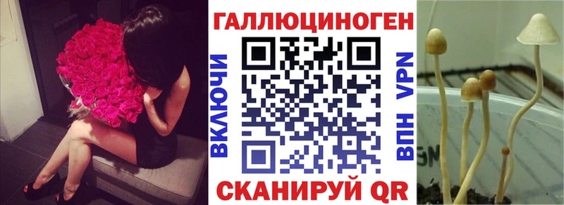 цены наркотик  kraken вход  Галлюциногенные грибы Psilocybe  Сухиничи 